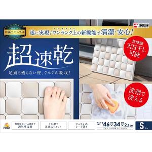 TENMA珪藻土踏墊-S