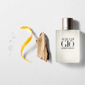 GIORGIO ARMANI 寄情水男性淡香水 100ml