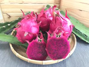 【儒園鮮果】冠軍紅龍果(6~8顆/6公斤)