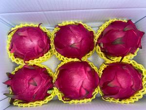 【儒園鮮果】冠軍紅龍果(6~8顆/6公斤)