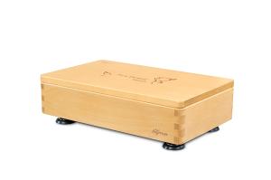 bgreen 運動家具 uFit全身垂直律動機 RB2