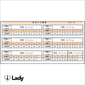 Lady 璨漾星辰系列 B-F罩 法式 刺繡 蕾絲 內衣 (星漾灰)