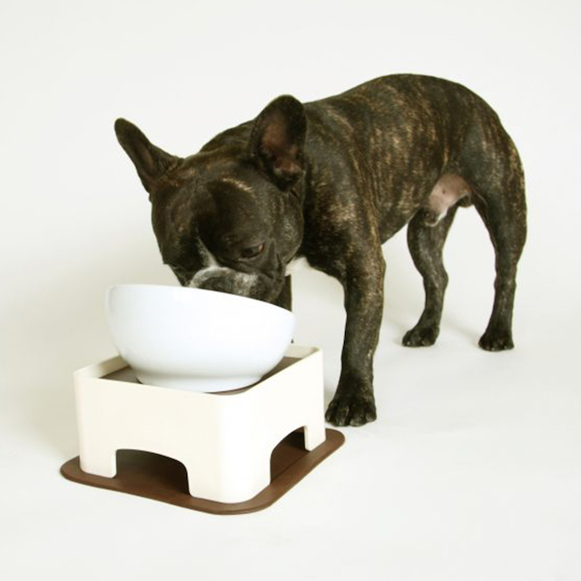 HARIO 寵物專用餐桌