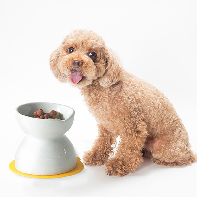 HARIO 犬貓兩用雙面磁碗