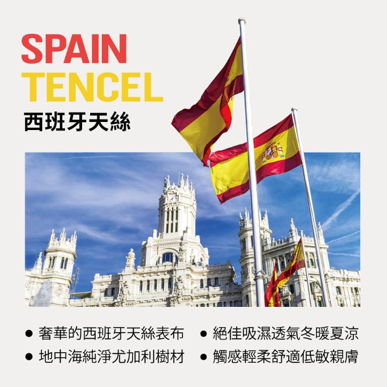 【美國寢之堡】 Luxury西班牙天絲防水防蟎枕頭保潔墊(2入)