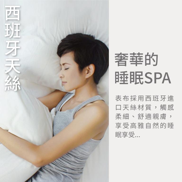 【美國寢之堡】 Luxury西班牙天絲防水防蟎枕頭保潔墊(2入)