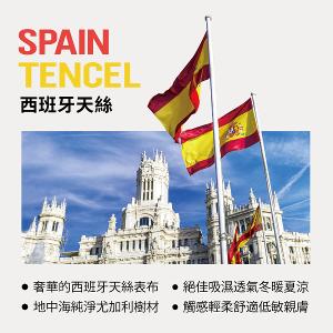 【美國寢之堡】 Luxury西班牙天絲防水防蟎枕頭保潔墊(2入)