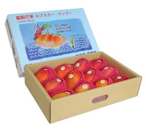 【預購】空運直送日本龍蝦芒果 5KG (9~14顆)