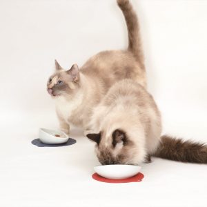 HARIO 長毛貓專用磁碗