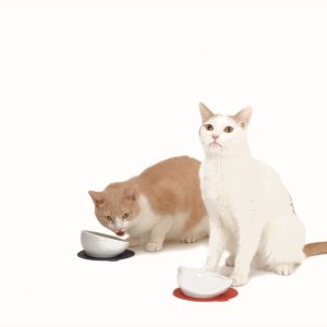 HARIO 短毛貓專用磁碗