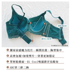 【思薇爾】撩波琉晶羽系列A-C罩蕾絲包覆女內衣(酡紅色)