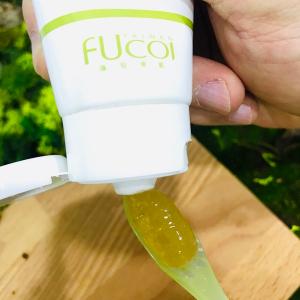 FUcoi｜藻安美肌 口周健康護理牙膏90ml(3入組)