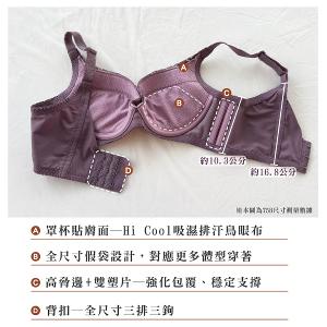 【思薇爾】美波曲線系列E-G罩調整型蕾絲涼感包覆塑身女內衣(風信紫)