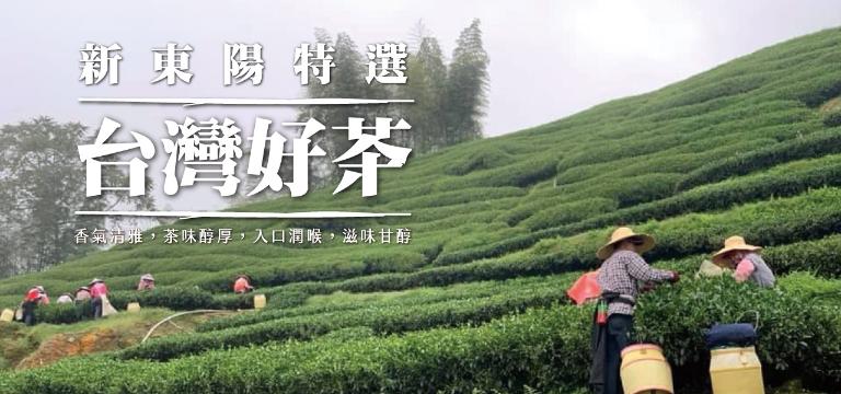 新東陽臻選台灣茶禮盒3號