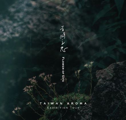 P Seven 台灣茶香水《石縫之花Flower of Life》淡香水 | 沉睡森林 _ 大地木質 *10ML