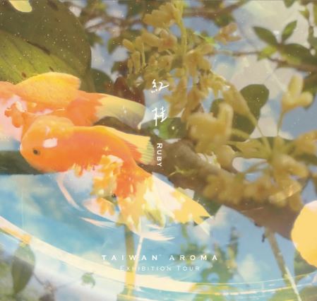 P Seven 台灣茶香水 紅桂 RUBY 淡香水 | 桂花紅茶 10ml