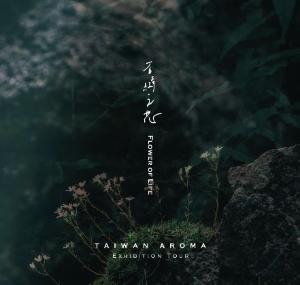 P Seven 台灣茶香水《石縫之花Flower of Life》淡香水 | 沉睡森林 _ 大地木質 *10ML