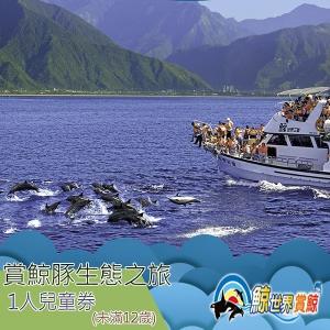 【花蓮】鯨世界-賞鯨豚生態之旅兒童券