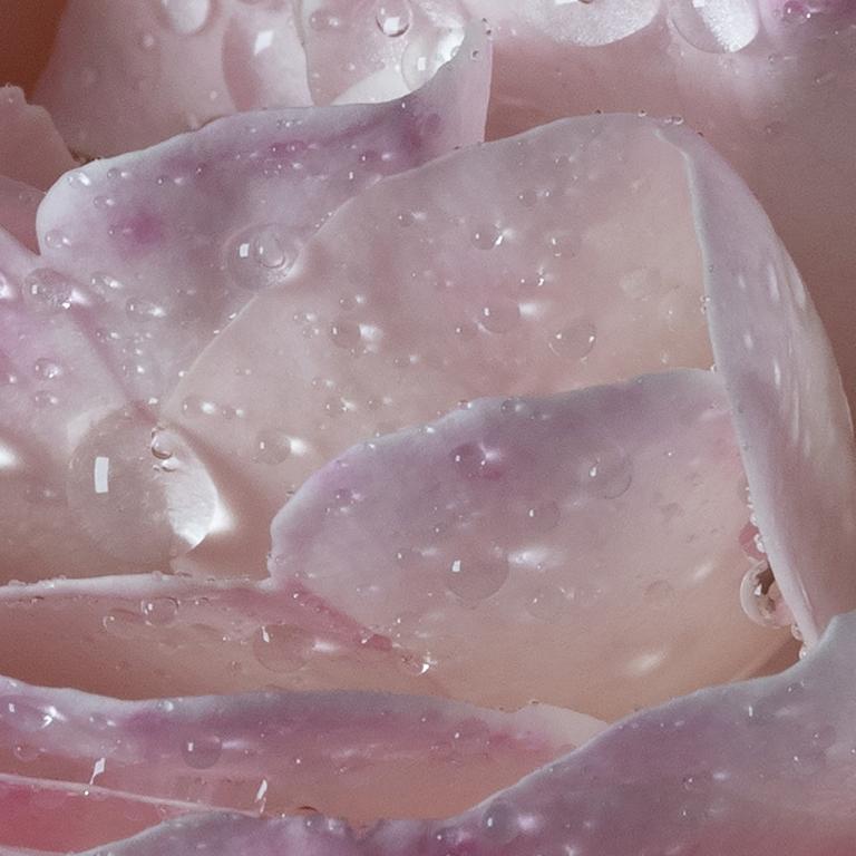 Maison Francis Kurkdjian l'eau À la rose  Eau de toilette