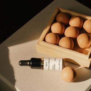 FRAMA 球體擴香 - 1917 (紅土)