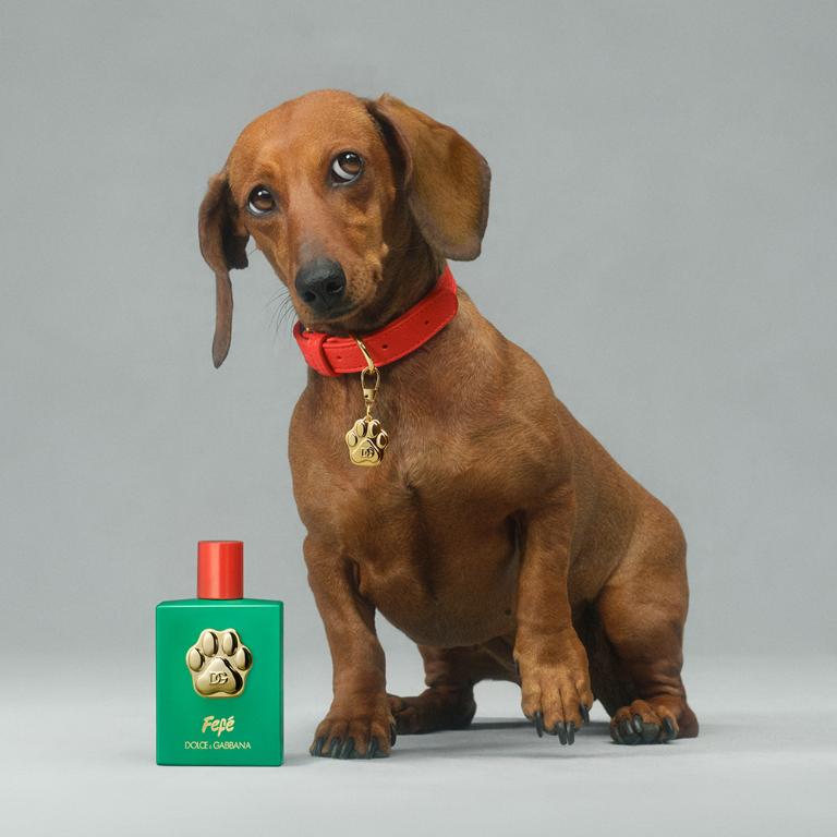 DG FEFE'香氛噴霧 100ml