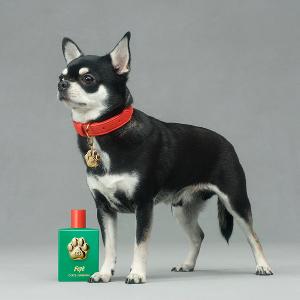 DG FEFE'香氛噴霧 100ml