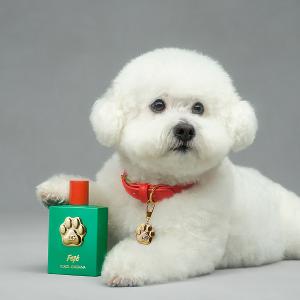 DG FEFE'香氛噴霧 100ml