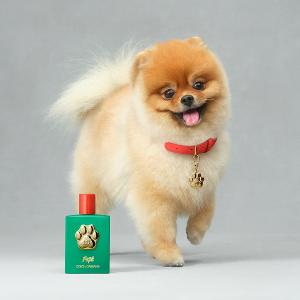 DG FEFE'香氛噴霧 100ml