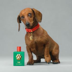 DG FEFE'香氛噴霧 100ml