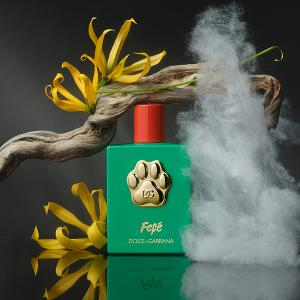 DG FEFE'香氛噴霧 100ml