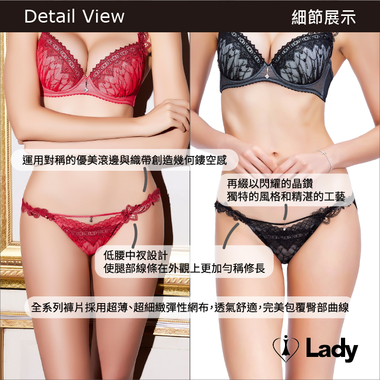 Lady 夢影綺想系列 刺繡 蕾絲 低腰 三角褲 (夢影黑)