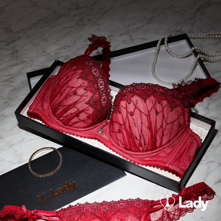 Lady 夢影綺想系列 B-F罩 法式 刺繡 蕾絲 內衣 (綺麗紅) 