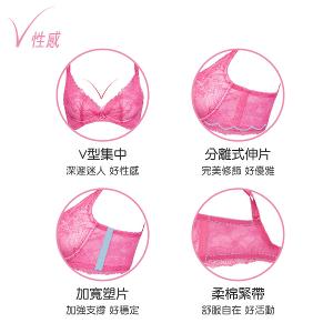 【思薇爾】撩波薔薇天使系列B-E罩抗菌蕾絲集中包覆女內衣(花青藍)