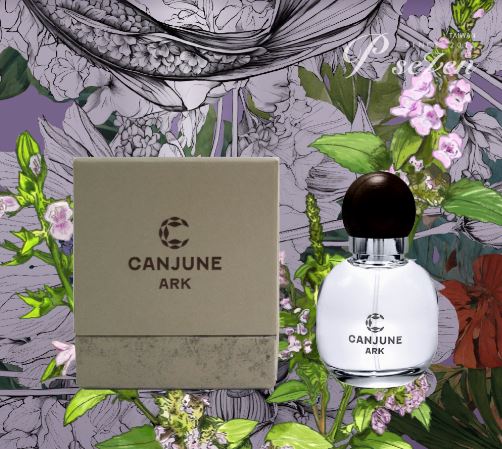 《 聯名肯園ARK芳舟+P.Seven經典茶香水 》 夢幻聯動 | 最強台灣在地種香水加贈P.Seven《金萱茶滾珠瓶》無酒精淡香水 日本製