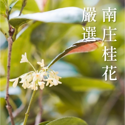 禾乃川-桂花甘酒 500mlx11入【加贈乙瓶】