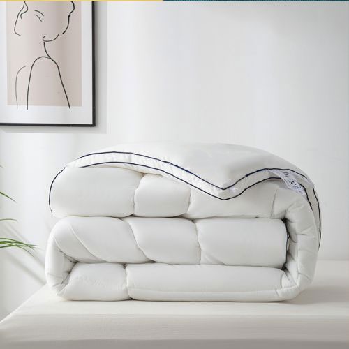 鎖溫太空被 專利保暖太空艙冬被-單人/雙人