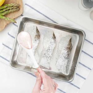 leye Shio Furui 不沾手 調味料匙-大款