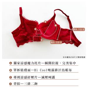 【思薇爾】撩波香雪蘭系列A-C罩涼感蕾絲集中包覆女內衣(幽影藍)