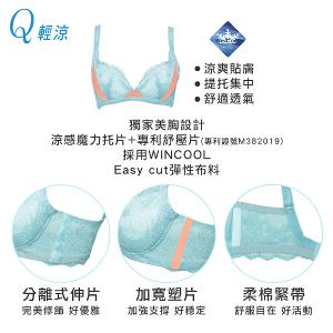 【思薇爾】撩波香雪蘭系列A-C罩涼感蕾絲集中包覆女內衣(幽影藍)