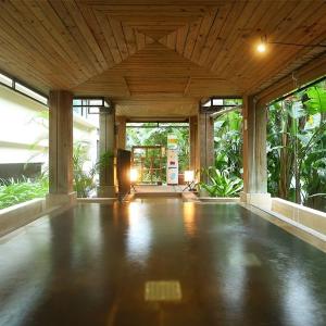 馥蘭朵烏來渡假酒店-1人大眾裸湯+套餐 (2張組)