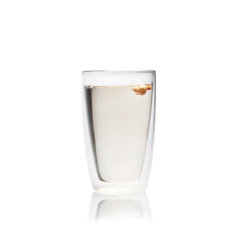 奇高 耐熱綠茶雙層杯-380ml/1入