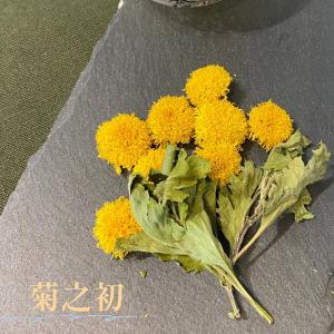 【天菊農場】精選天菊禮盒-心花芫