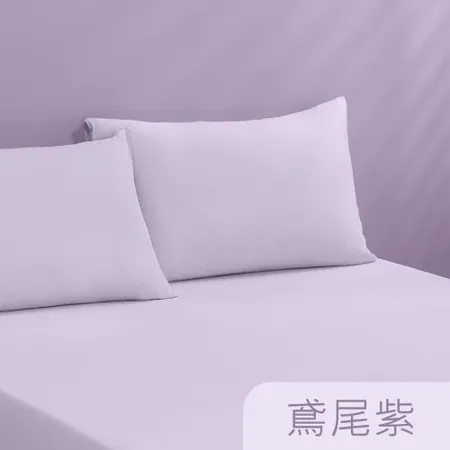 【Tonia Nicole 東妮寢飾】TopCool冰凍涼感枕套2入(六色任選)