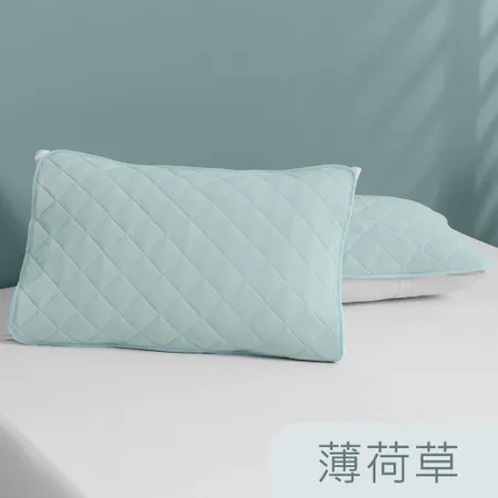 【Tonia Nicole 東妮寢飾】TopCool冰凍涼感枕頭保潔墊2入(六色任選)