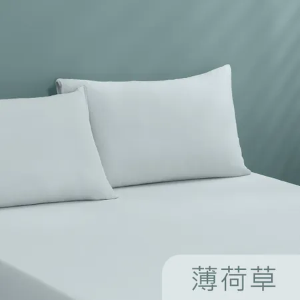 【Tonia Nicole 東妮寢飾】TopCool冰凍涼感枕套2入(六色任選)