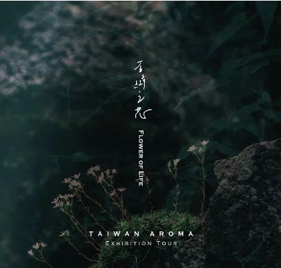 P Seven 台灣茶香水《石縫之花Flower of Life》淡香水 | 3ml袖珍香 - 大地木質調