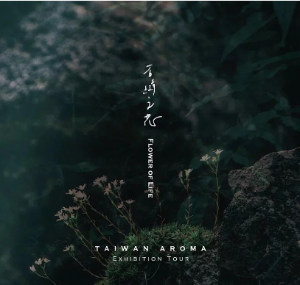 P Seven 台灣茶香水《石縫之花Flower of Life》淡香水 | 3ml袖珍香 - 大地木質調