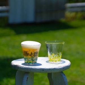 日本津輕 燦夏2入玻璃對杯260ml(禮盒組)/1組