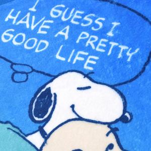 SNOOPY史努比 75週年印花擦拭巾-星空下