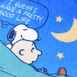 SNOOPY史努比 75週年印花擦拭巾-星空下